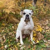 Interlake Lymph Clinic